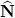 \widehat{\mathbf{N}}