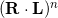 (\mathbf{R} \cdot \mathbf{L})^n
