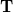 \mathbf{T}