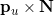 \mathbf{p}_u \times \mathbf{N}